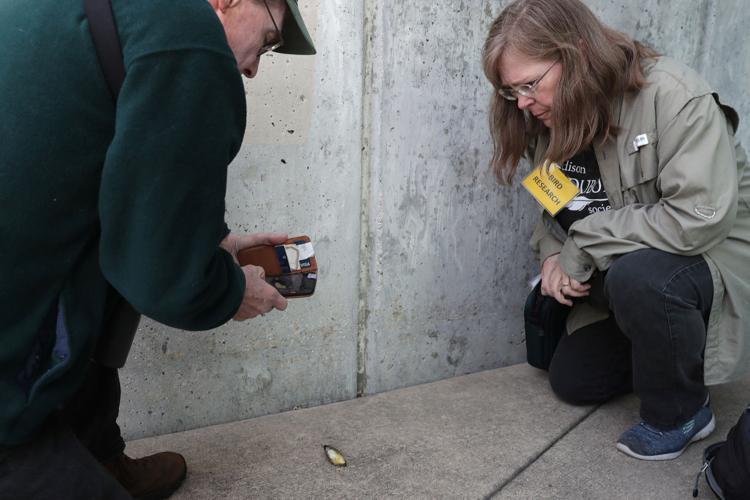 092421_collisioncorps_01-09242021122356