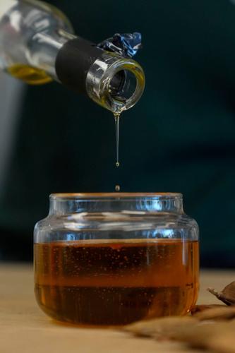 Pongamia Tree What to Know