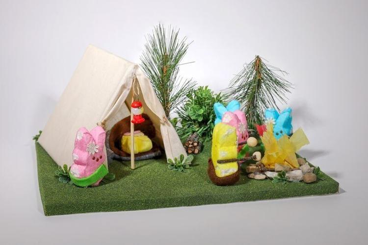 "Peep Scouts Go Camping"