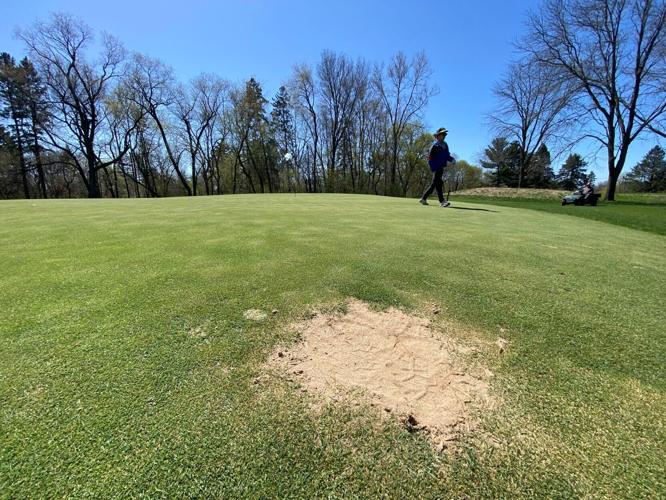 Fox relocation study