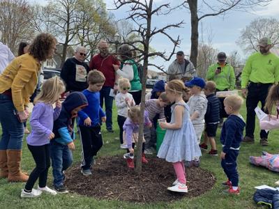 A group of children help water a tree located in front of the Lake Geneva Public Library