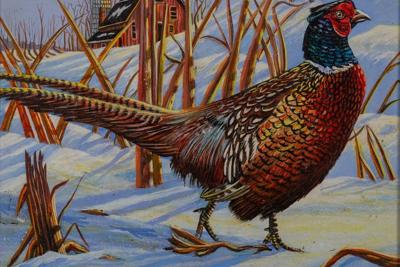 Wisconsin DNR - Winning 2024 pheasant stamp design