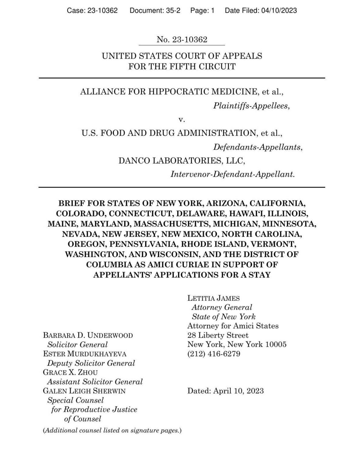Amicus brief