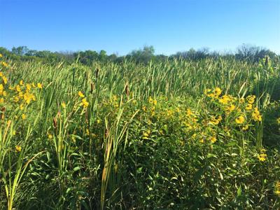Troy State Wildlife Area, Town of Lafayette, Walworth County