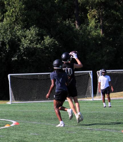 Badger Receiver