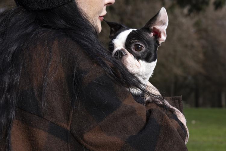 xxxDomestic Violence Assignment_Rachel