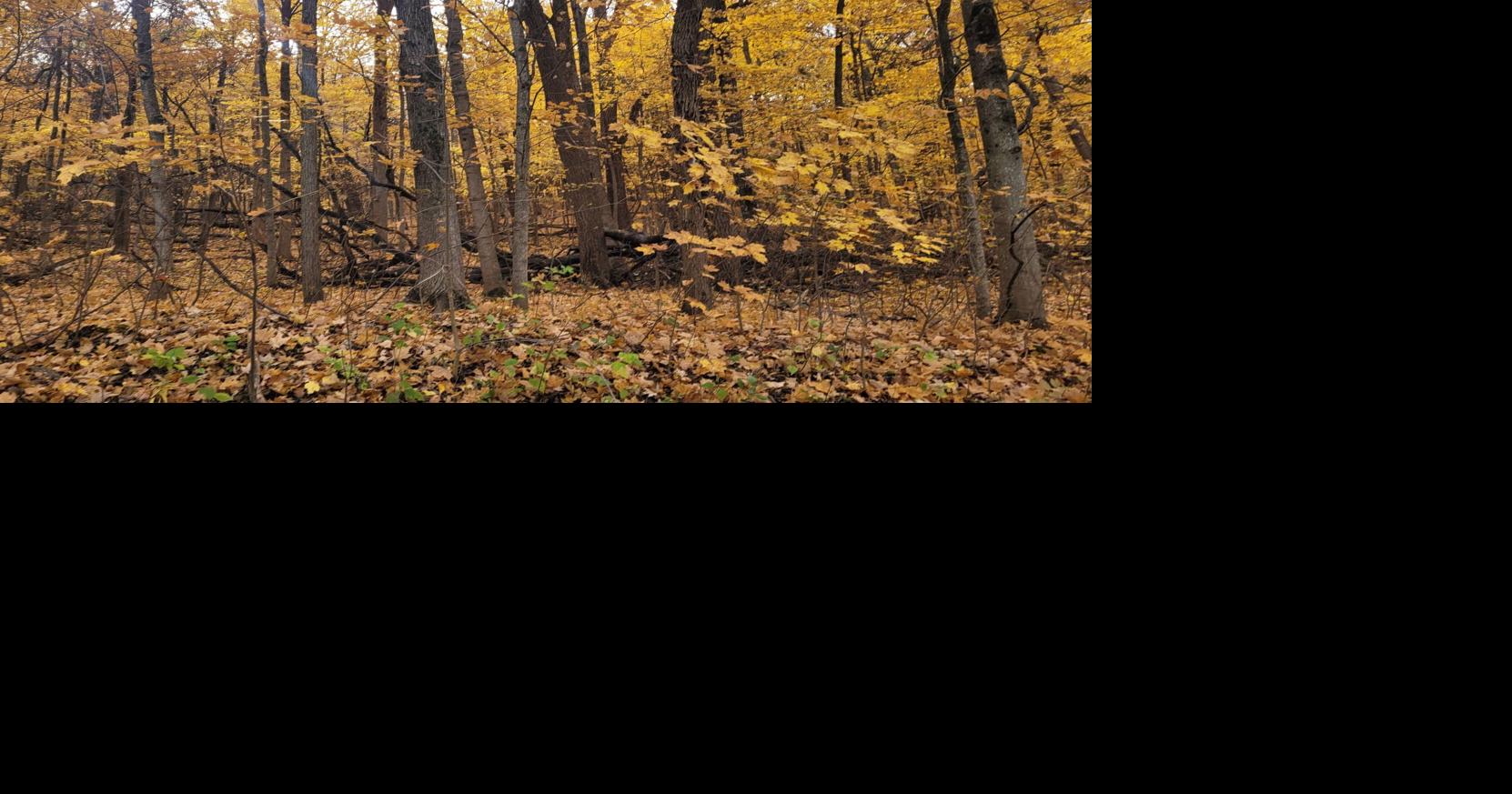 Geneva Lake Conservancy receives 12.5 acre Lake Como area land donation