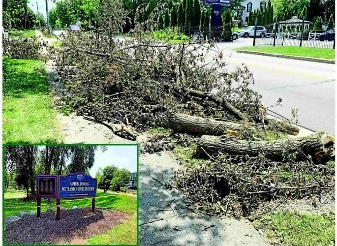 CLEANUP EFFORTS CONTINUE AFTER JULY 3 STORM