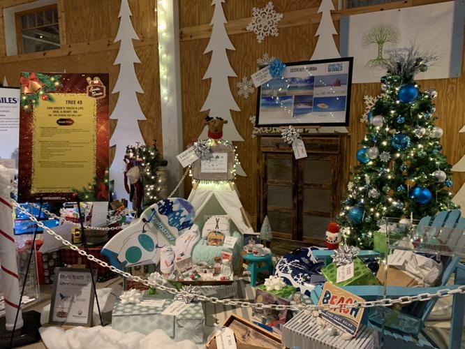 The Santa Cause Tree Festival