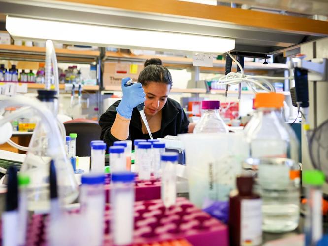 UW-Madison fetal tissue lab