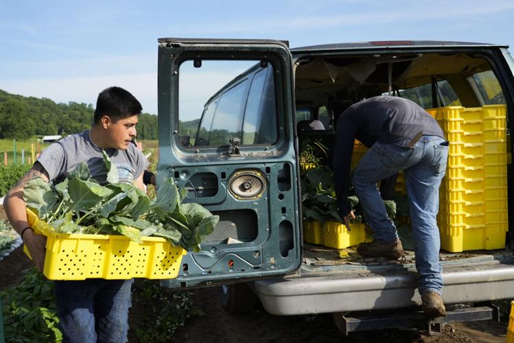 Heat Farmworkers Exposure
