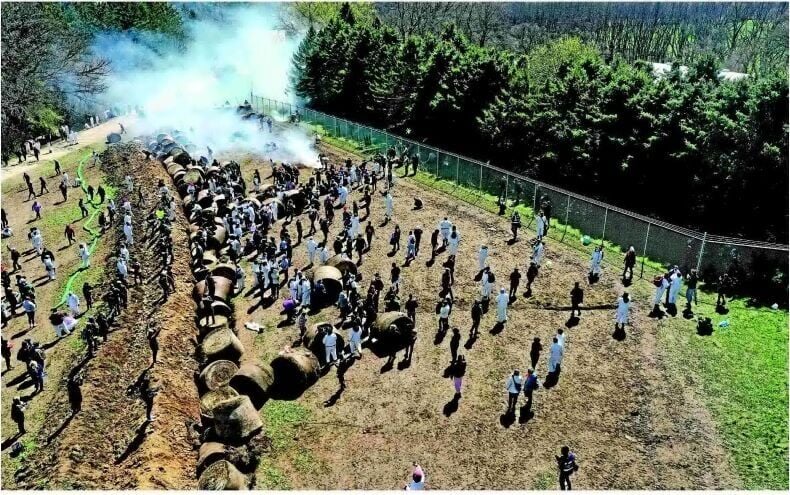 Animal rights activists decry police response