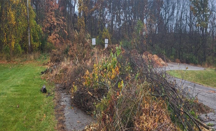Lake Geneva officials are concerned about the number of non-residents who have been dropping off debris at the city's brush drop-off site