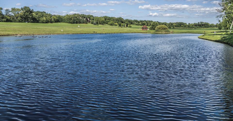 Trinity Mt. Estates pond