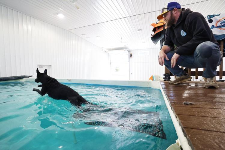 DogSwim-20261008-01-0143.JPGWIS0004119634.JPG
