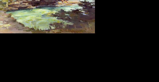 "Cold Plunge" by Tom Nachreiner