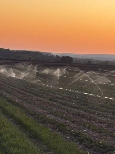 Irrigation