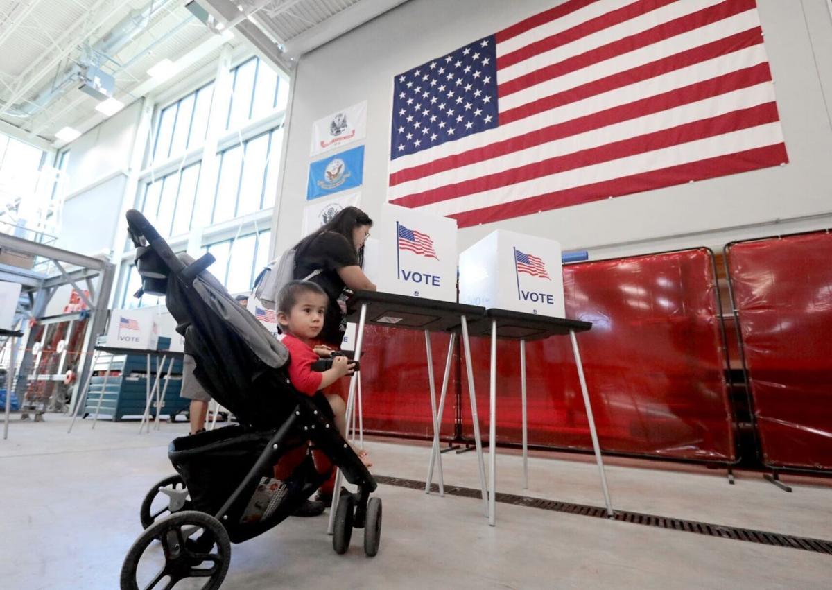 Election voters