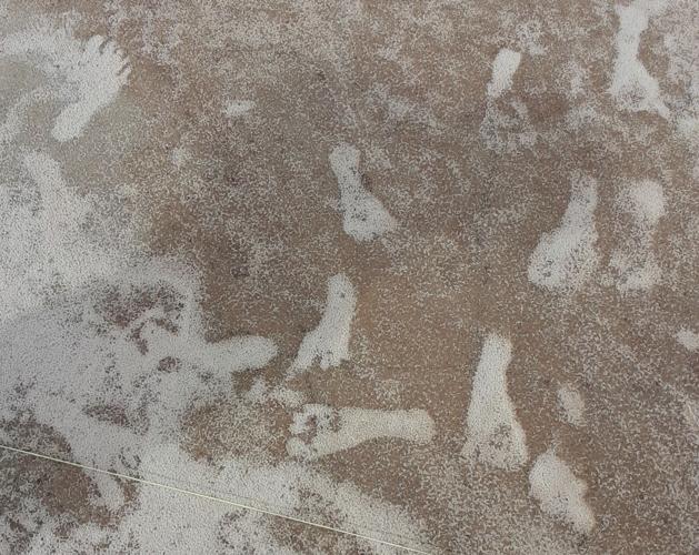 FOSSIL HUMAN FOOTPRINTS AMERICAS