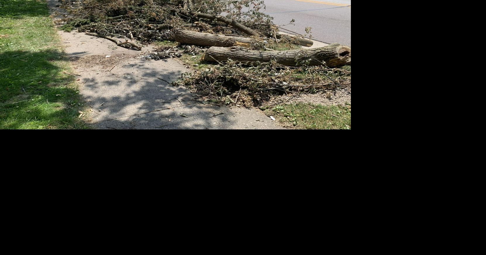 Cleanup efforts continue in Lake Geneva after July 3 storm