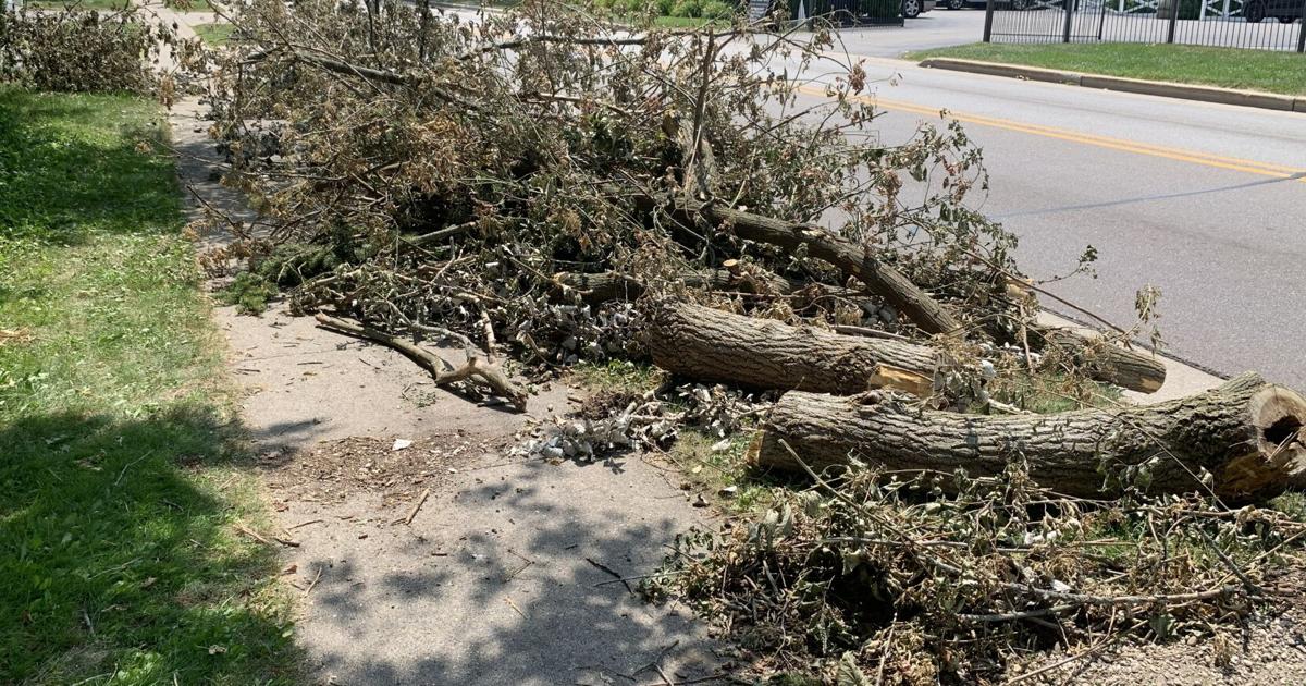 Cleanup efforts continue in Lake Geneva after July 3 storm