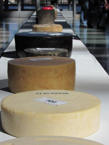 U.S Championship Cheese Contest