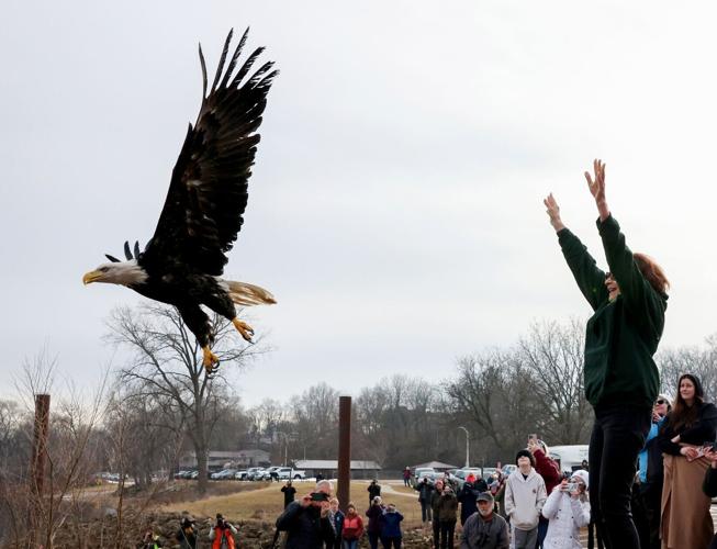 Eagle Release