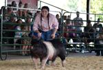KENOSHA COUNTY FAIR