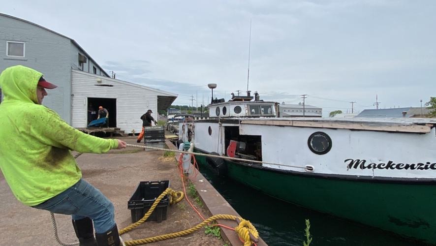 Red Cliff Fish Company