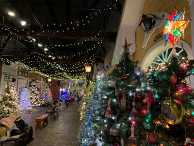 Parade of Trees