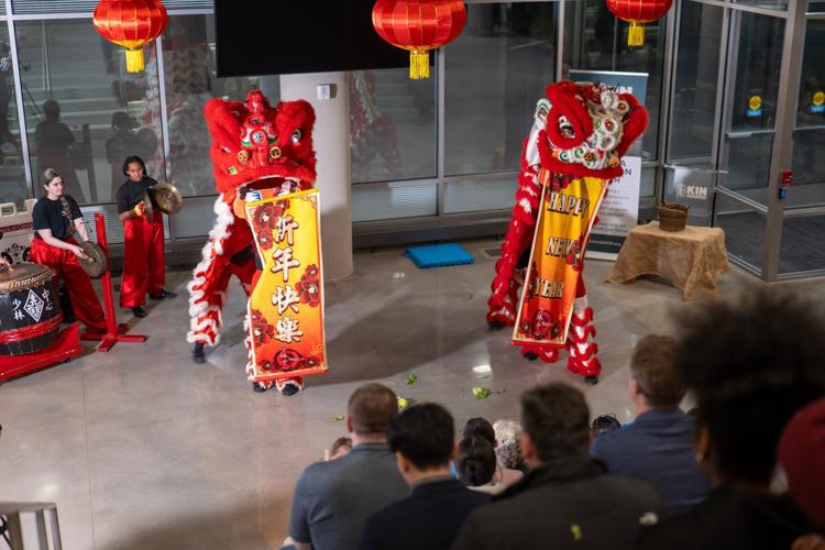 Chinese New Year-Lion Dance