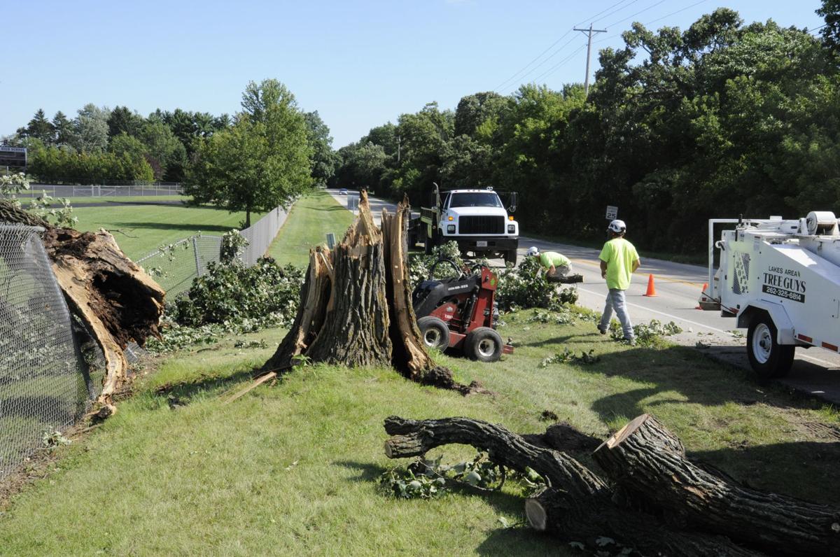 Tree Damage 3