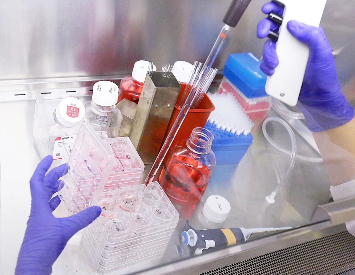 stem cell research