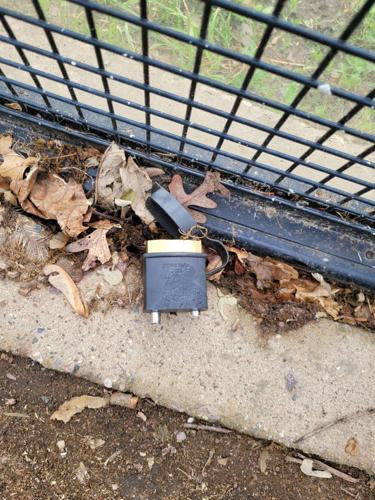 060822-bara-news-zoo3