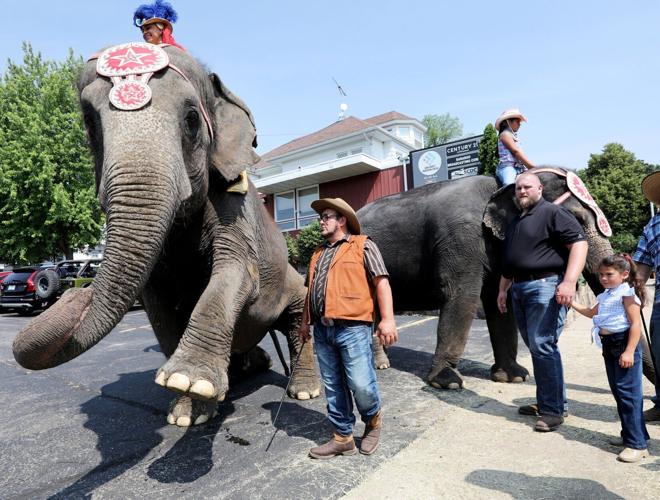Circus parade with Viola