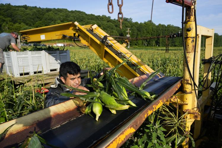 Heat Farmworkers Exposure