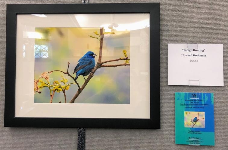 Howard Rothstein, "Indigo Bunting"