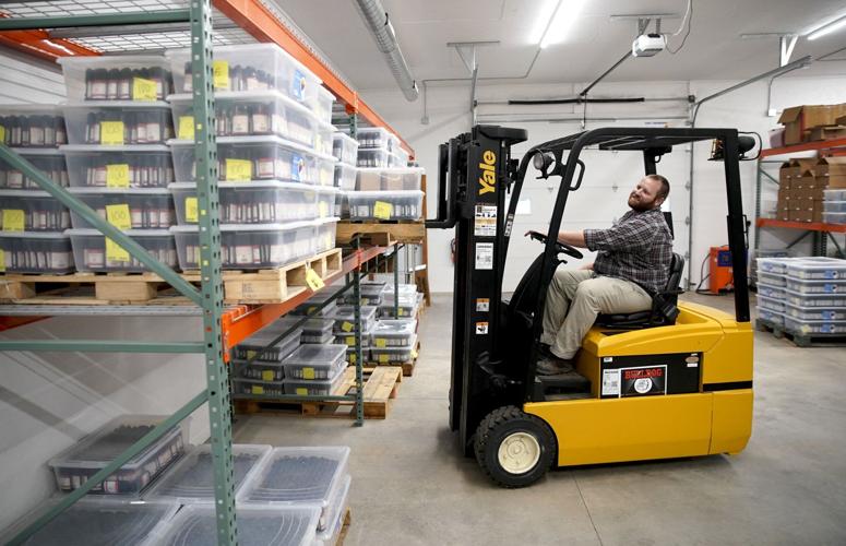 American Provenance 2019