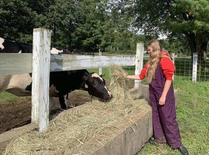 Rebecca Konkel prepares for Walworth County Fair