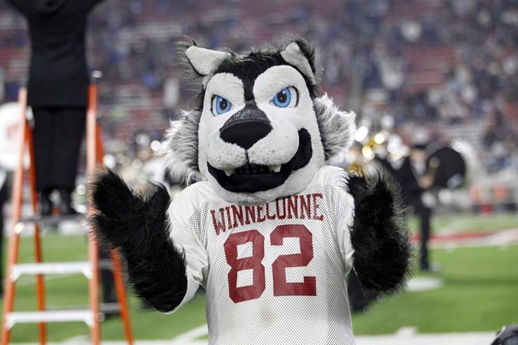 Willie the Wolf