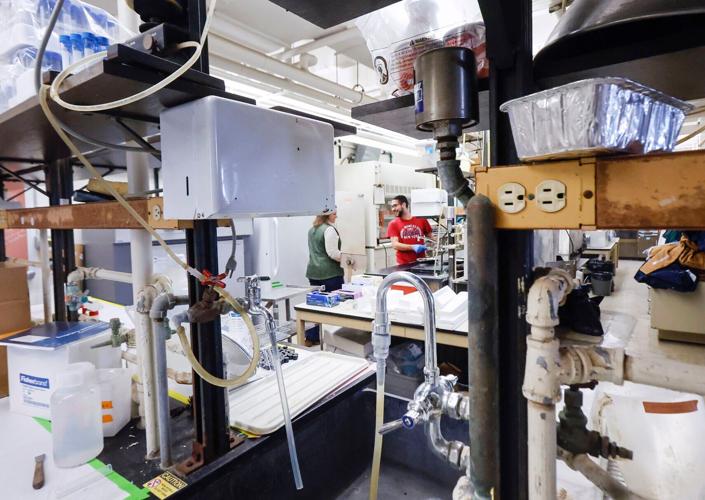 UW Agriculture and Life Sciences