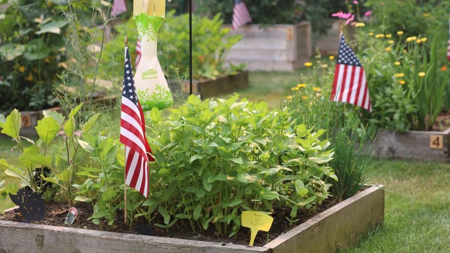 Garden beds at Saint Catherine Commons