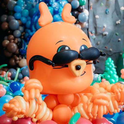 2024 Balloon Adventure