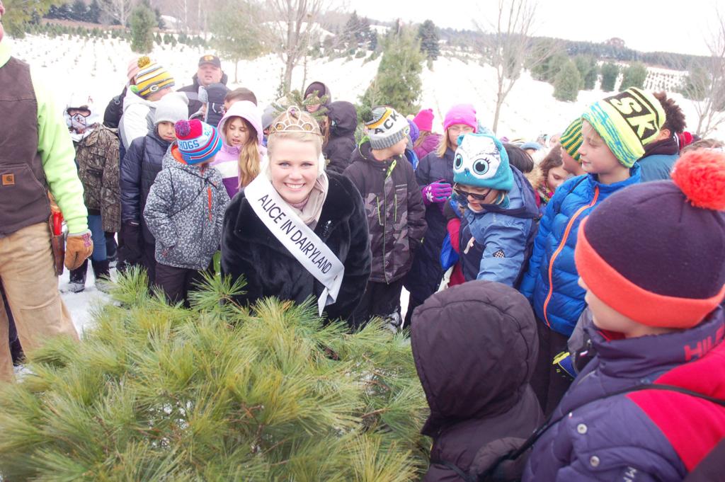 Holiday Tree Cutting With Alice In Dairyland Town Of Walworth Local News Lakegenevanews Net