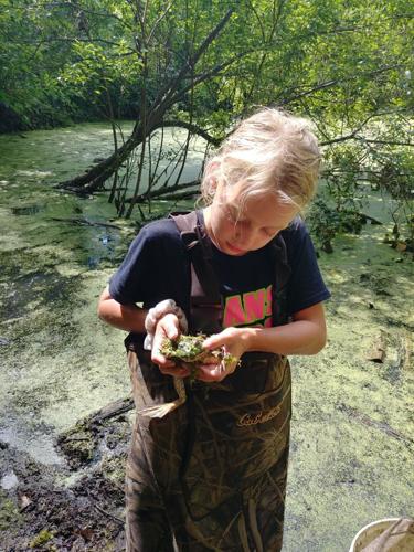 River Bend Nature Center summer camp