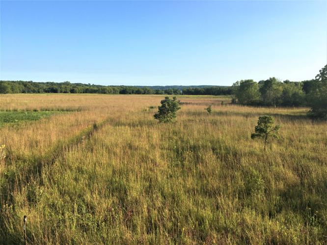 View from observation tower toward Geneva Lake at Kishwauketoe Nature Conservancy