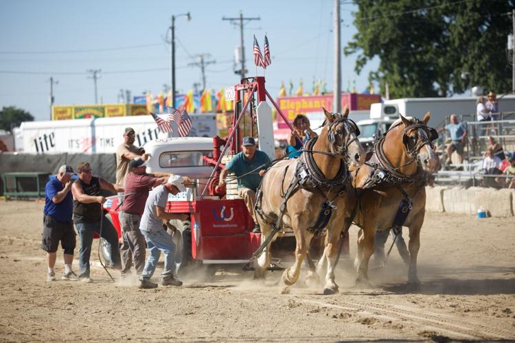 Horse pulling contest