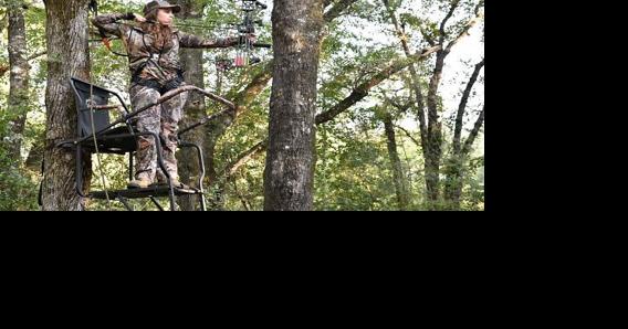 Time to brush up on tree stand safety - Vimarsana News