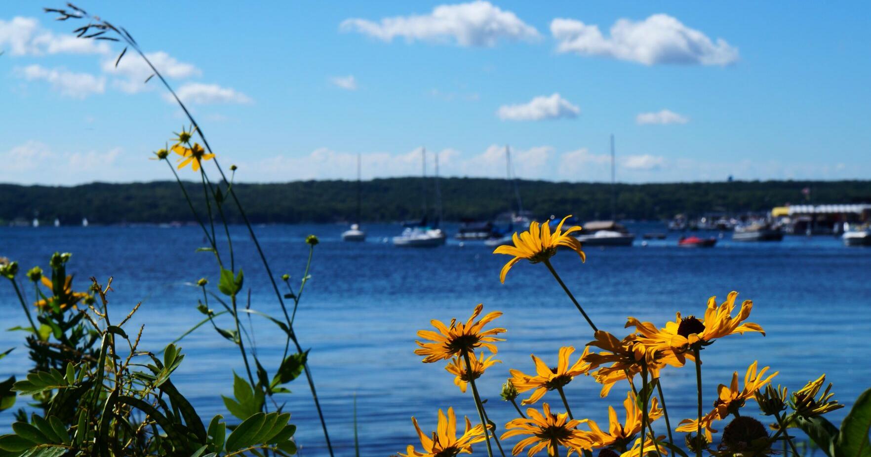 Wisconsin DNR and Conservation Congress spring hearings - Vimarsana News