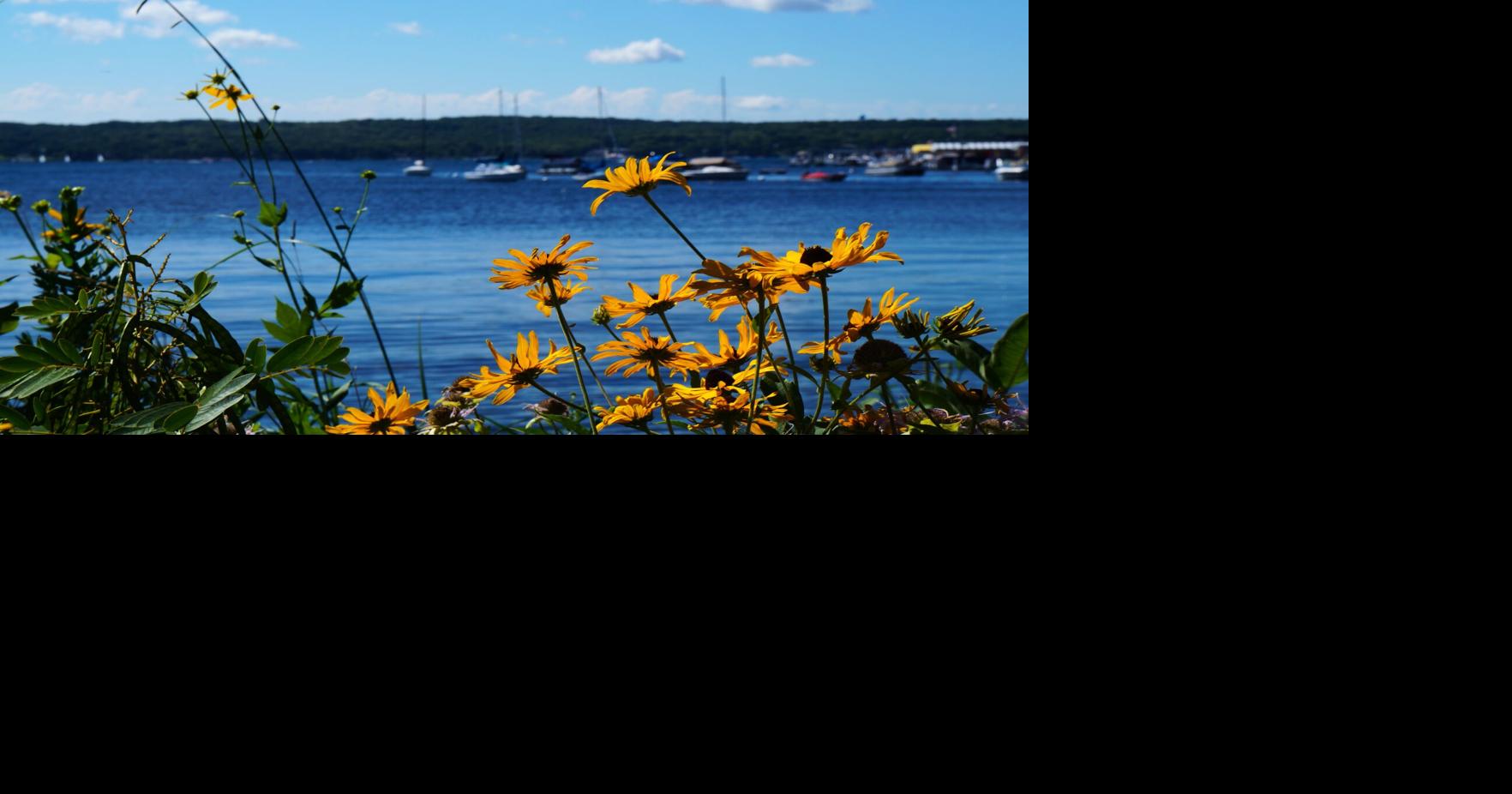 Wisconsin DNR and Conservation Congress spring hearings